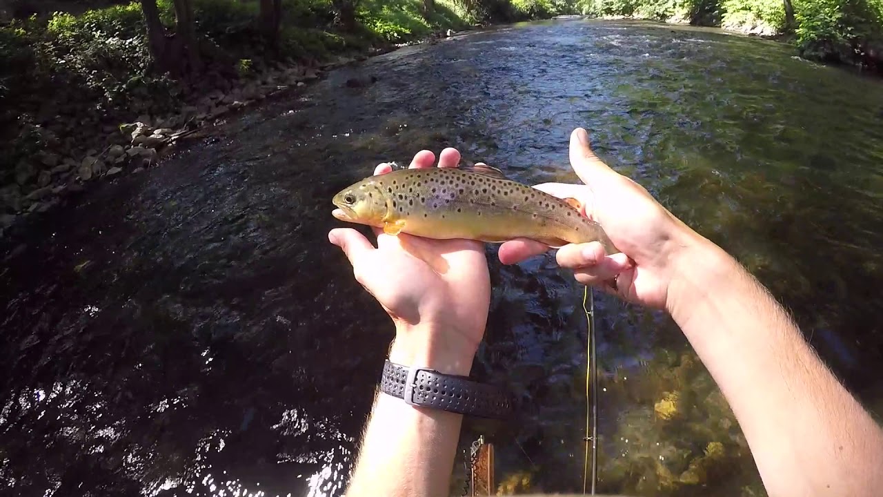 Pêche en nymphe au fil sur l'Ourthe