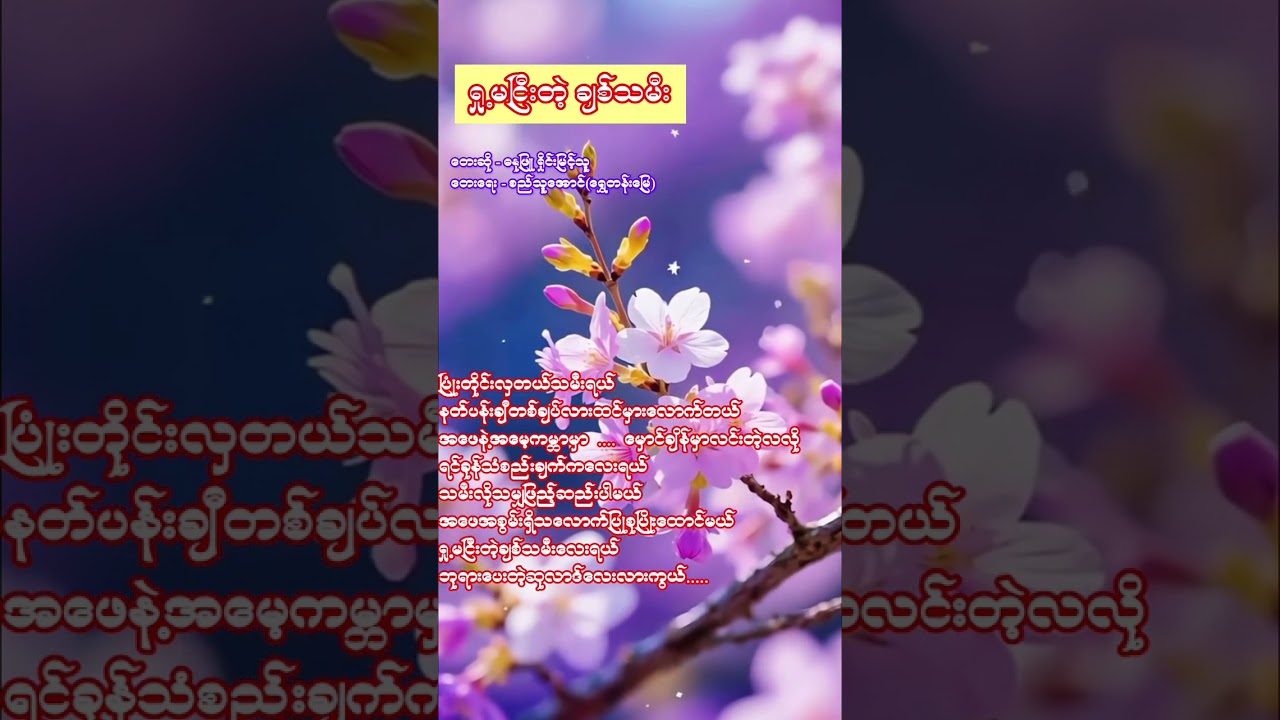 ရှု့မငြီးတဲ့ ချစ်သမီး - တေးဆို - ဓနုဖြူ ရှိုင်းမြင့်သူ -  ရေး - စည်သူအောင်(ရွှေတန်းမြေ)