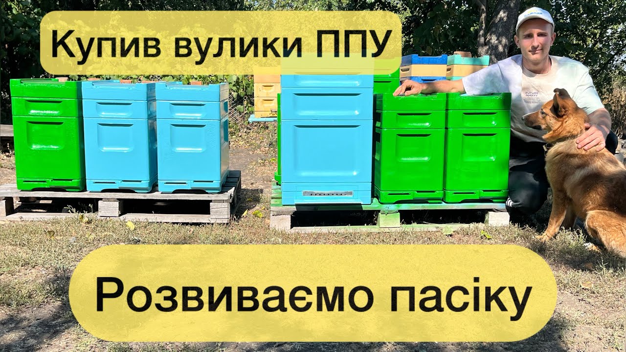 Купив вулики з ППУ для своєї пасіки. Вулики Beenuc 💥