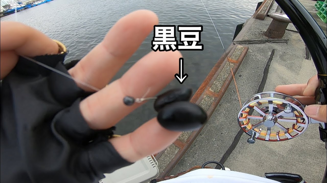 イガイそっくりな黒豆でチヌが釣れるか検証してみた【ヘチ釣り】