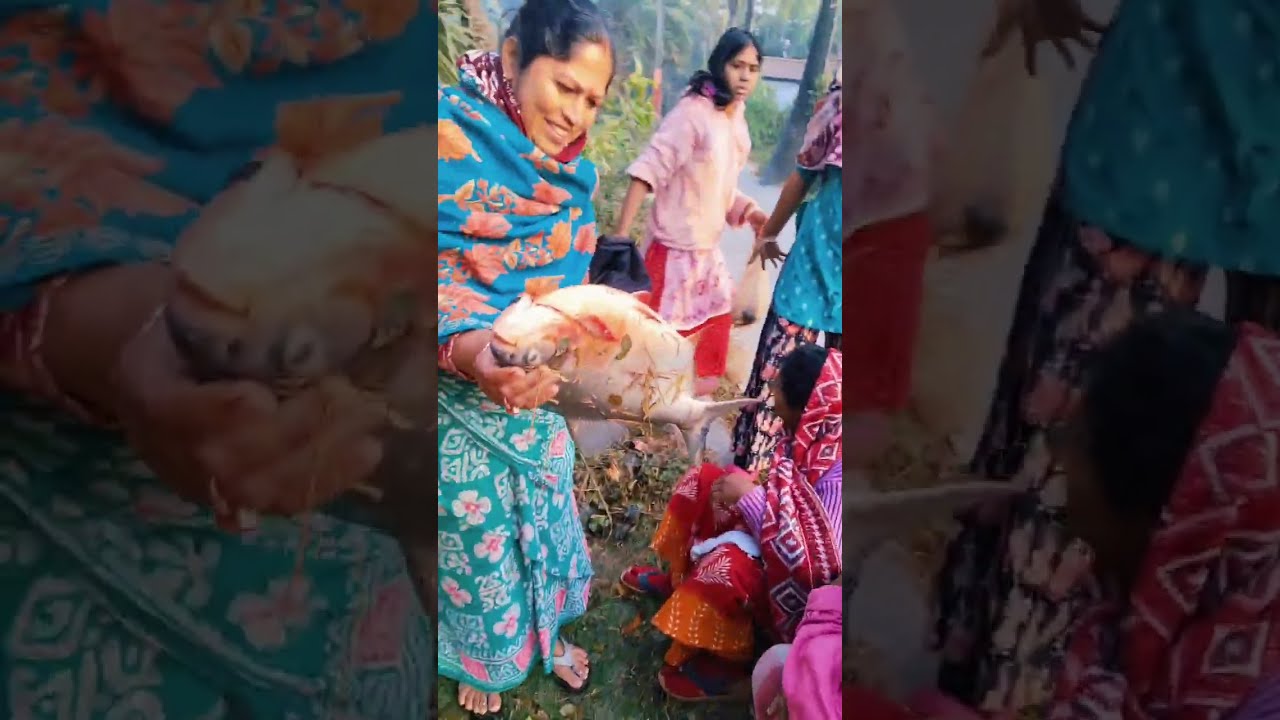 আমার দাদার পুকুরের সব মাছ নিয়ে চলে গেলো😱😱😱😱😱