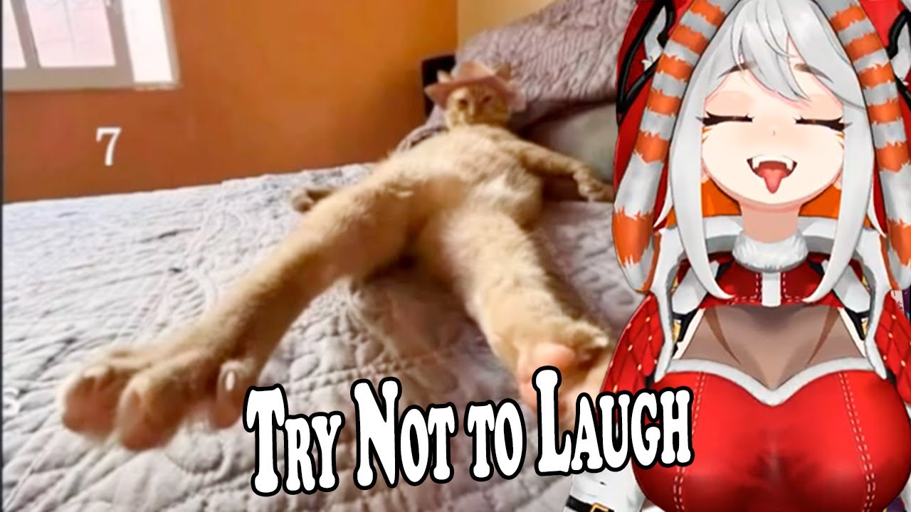 Deme Chan Vtuber Reacts To Instagram Reels | Try Not to Laugh 😆🎉
