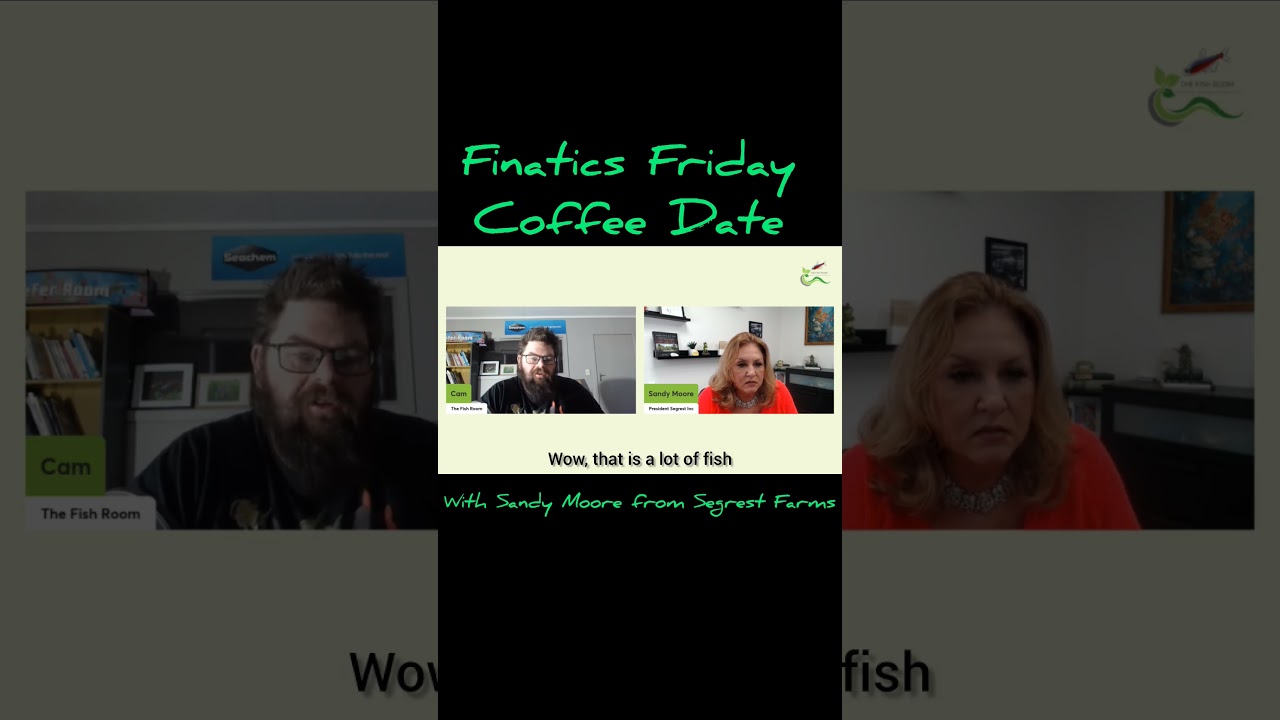 Did she really say ONE MILLION fish?