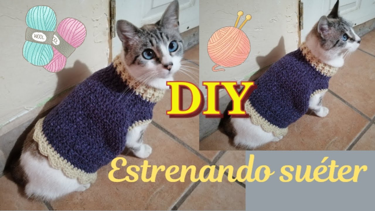 Suéter para Gatos a Crochet /DIY