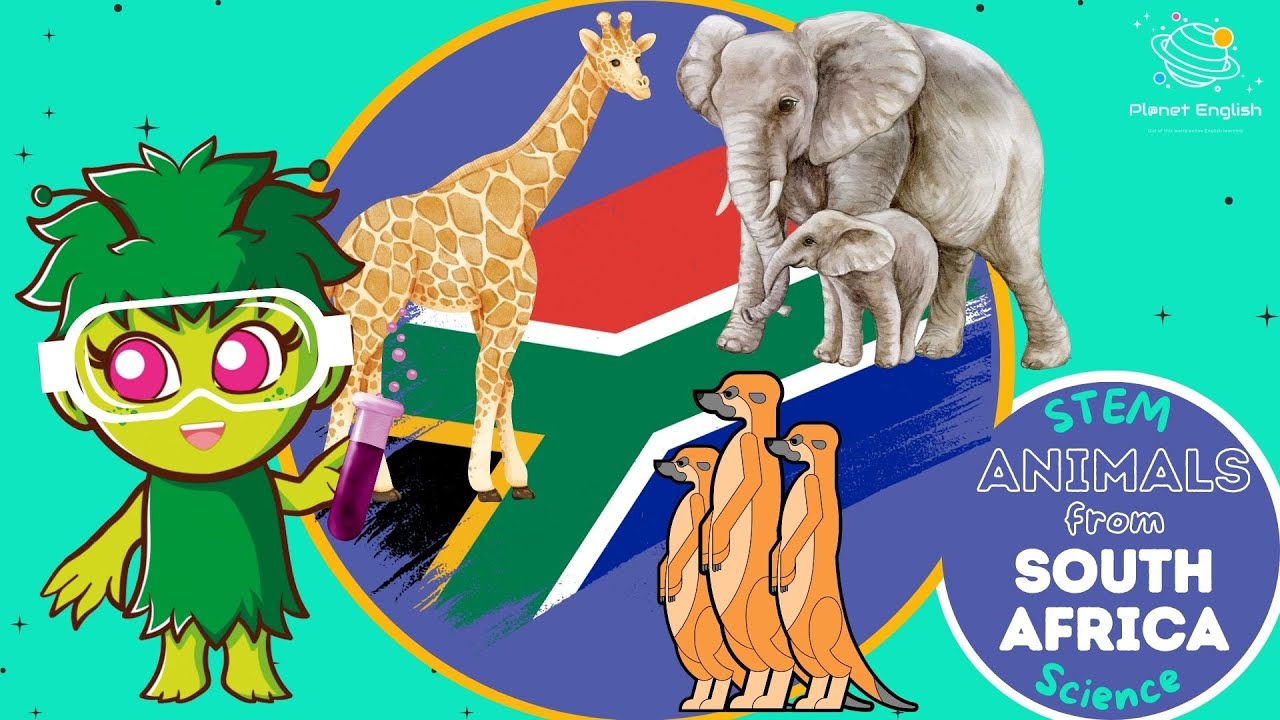 Animals from South Africa | KS1 Science | STEM and Beyond