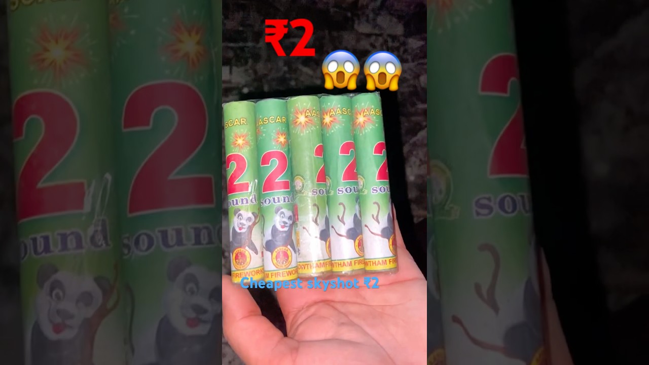 ₹2 Ka Skyshot 😱 |  Cheapest Fireworks  | Diwali crackers 2025 #shorts
