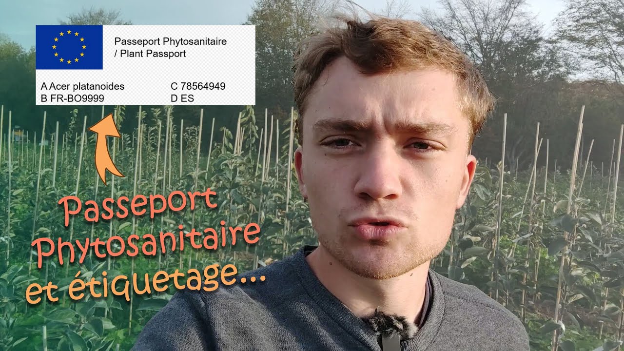 Etiquetage des arbres et explication Passeport Phytosanitaire !