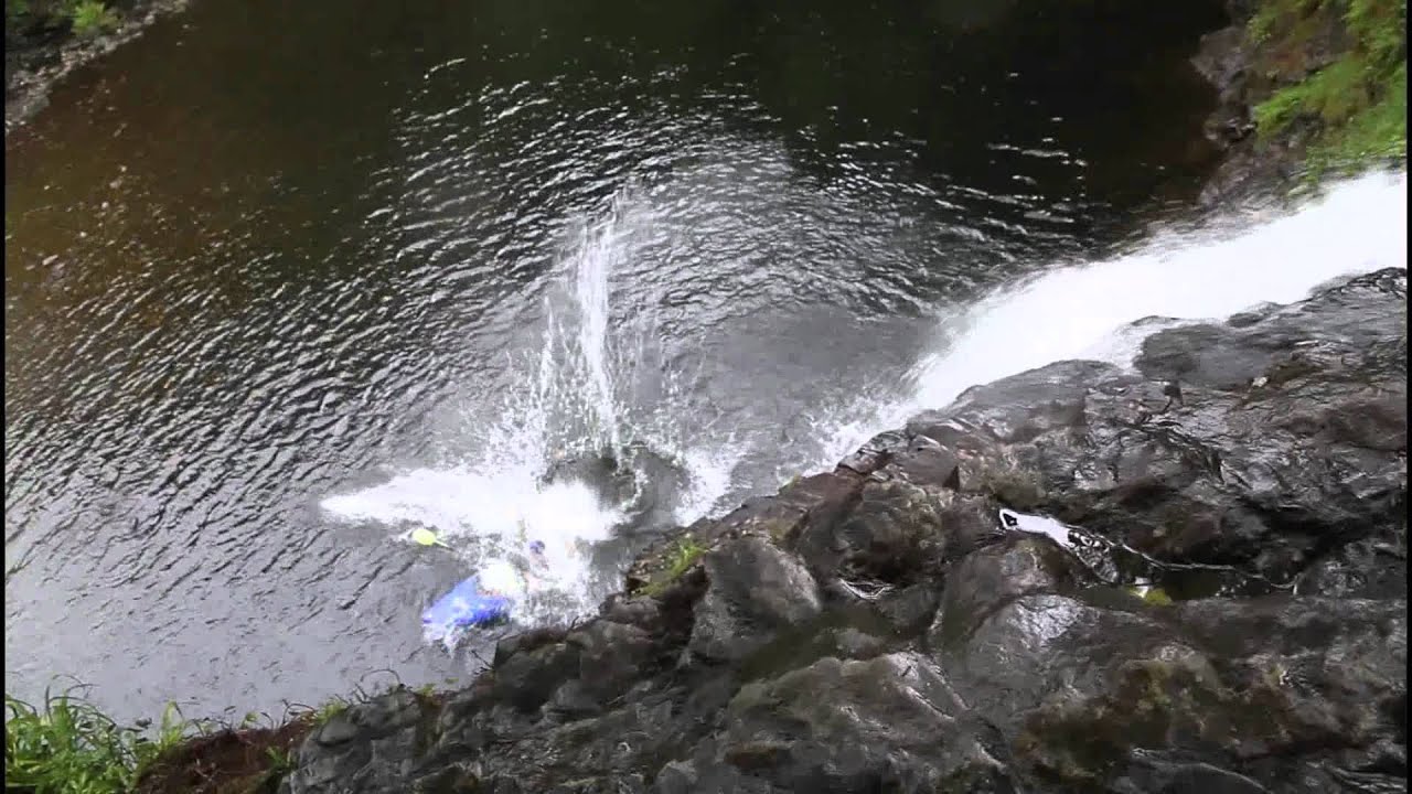 Cresta carnage