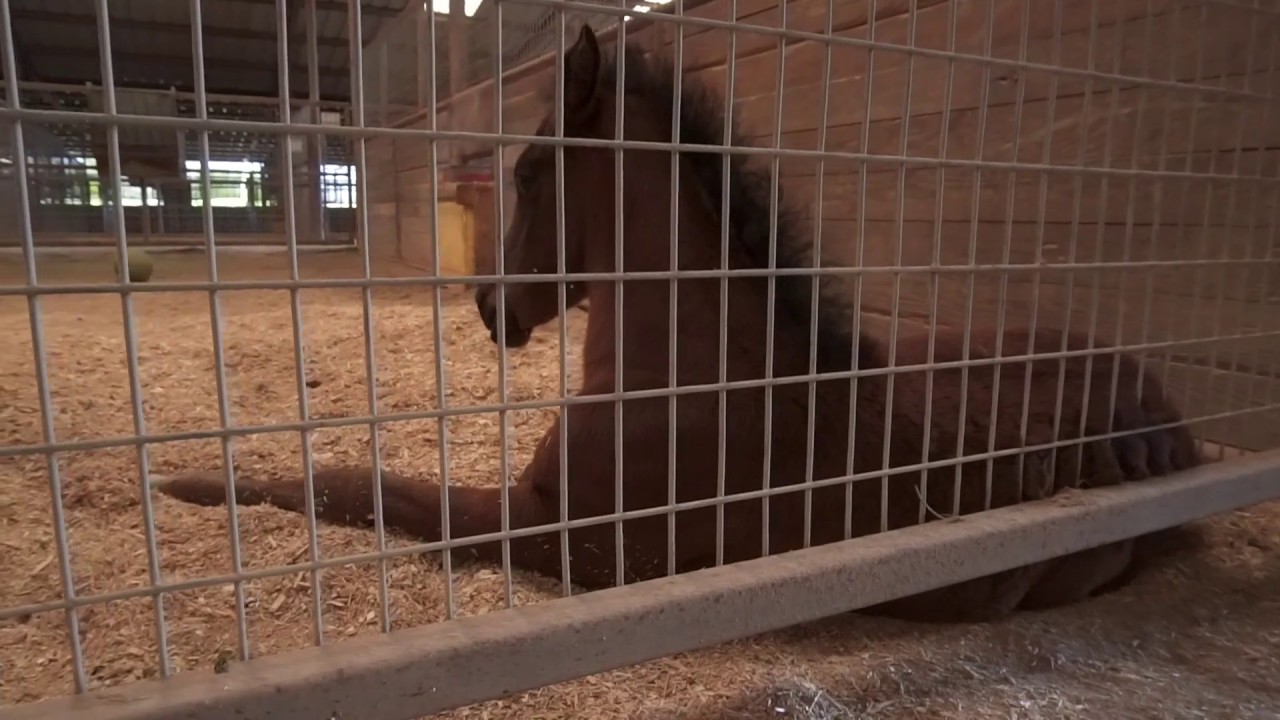 2357 Advance Road | Weatherford TX