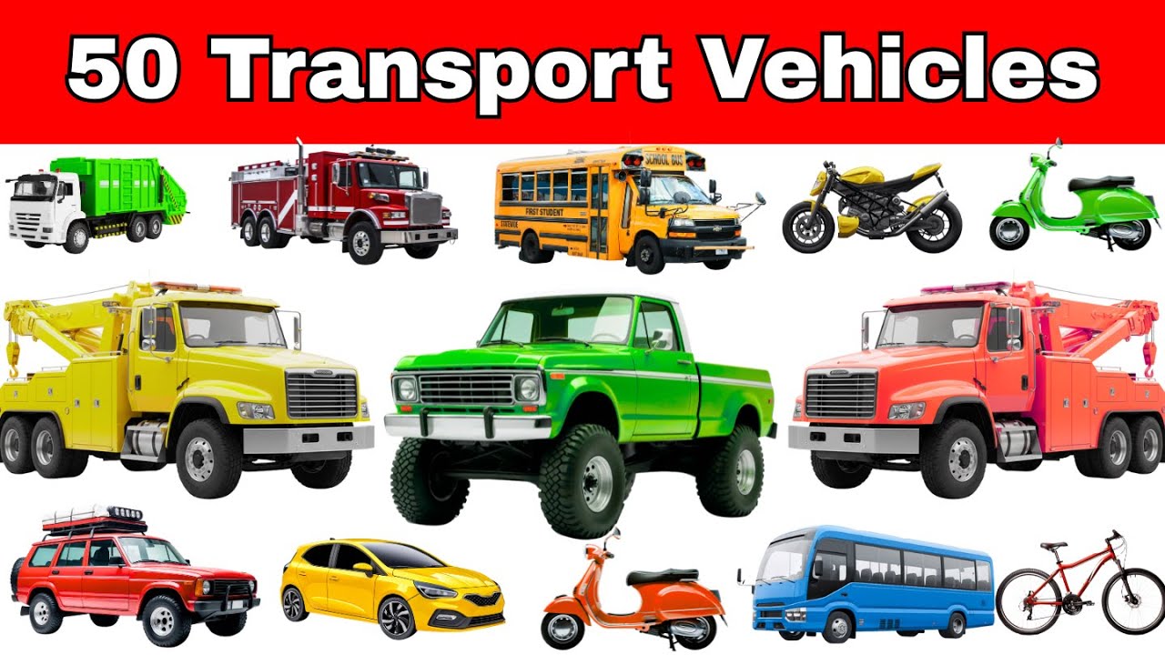 50 pojazd&oacute;w transportowych dla dzieci | Poznaj wszystkie nazwy pojazd&oacute;w