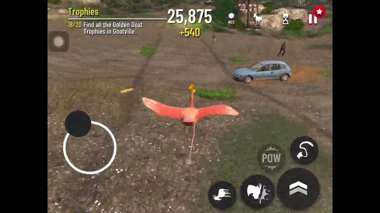 Playing goat simulator!