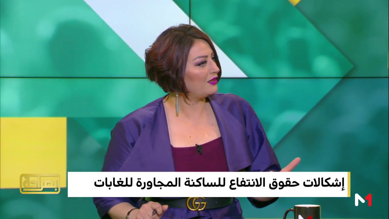 محمد أنضيشي يجيب عن الاستغلال العدواني للمجال الغابوي