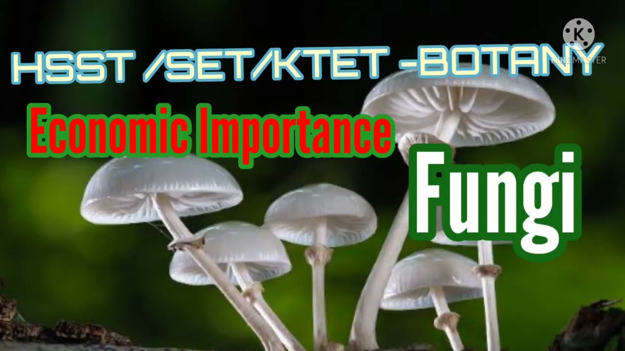 HSST /KTET /SET BOTANY
