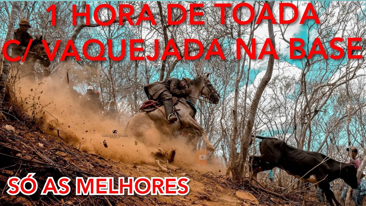 🎵🌵1 HORA DE TOADA COM VAQUEJADA NA BASE 🌵🎵