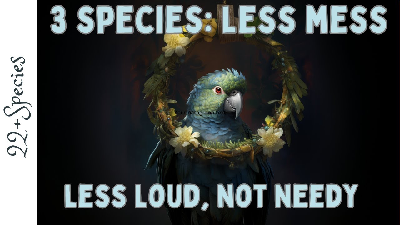 3 Species That Aren't Messy, Too Loud Or Too Needy | #parrot_bliss #parrot #indianringneck