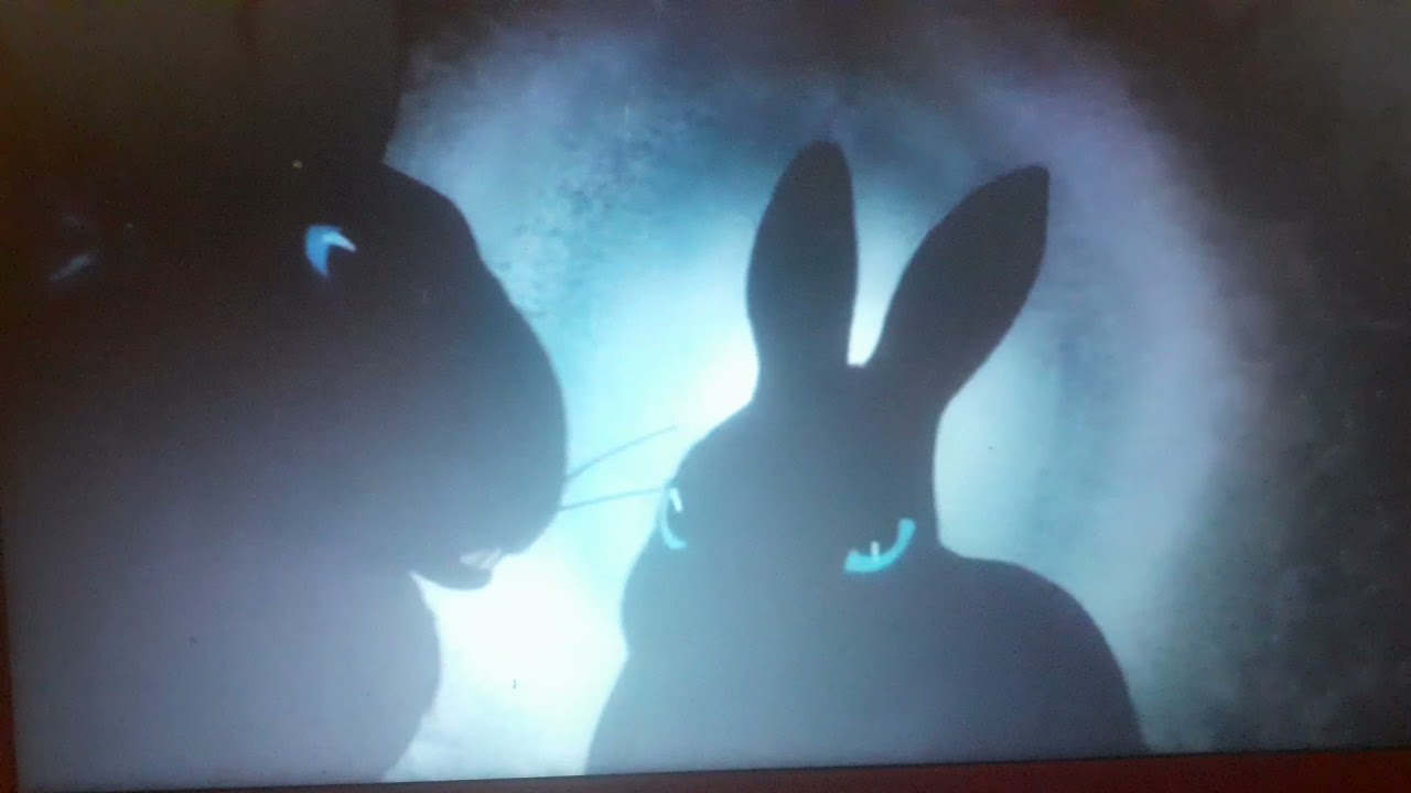 watership down holly memories of Warren destruction and Efrafa.