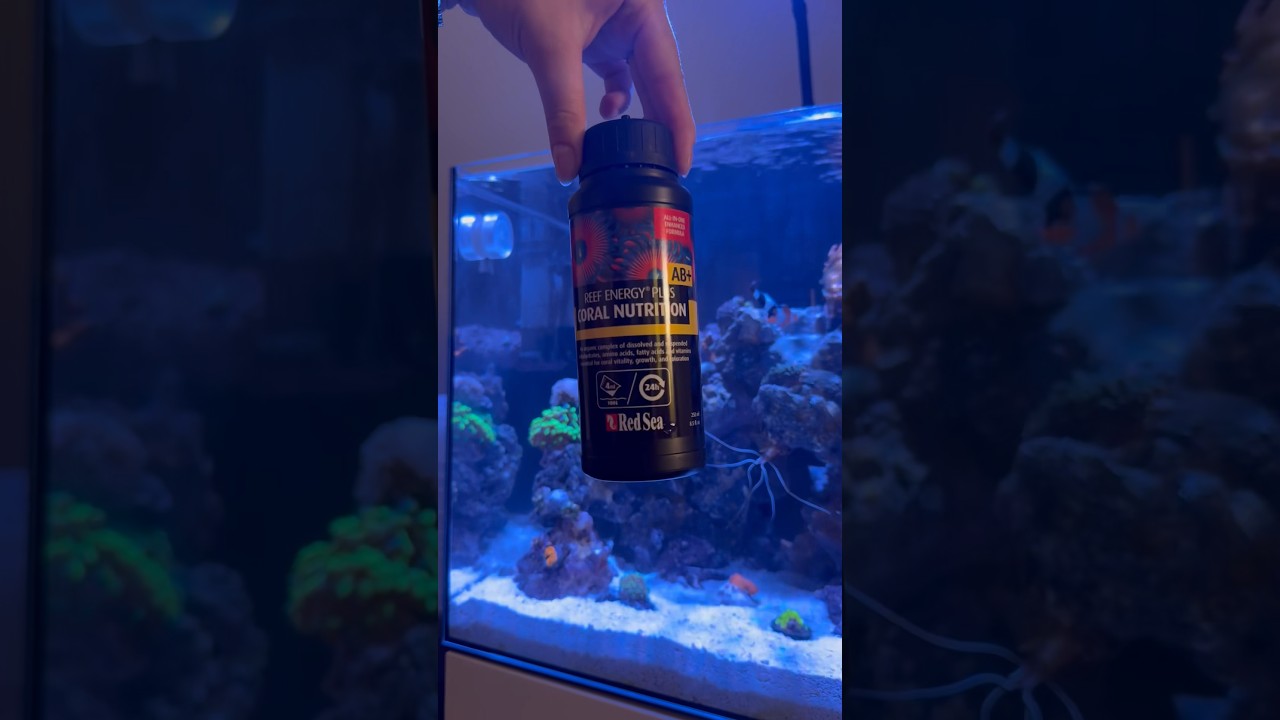 Testuję Reef Energy AB+ firmy Red Sea Aquatics