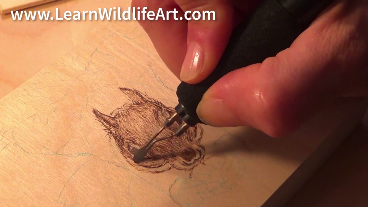 Pyrography: How to Woodburn Fur on a Squirrel - Head and Face - video 1
