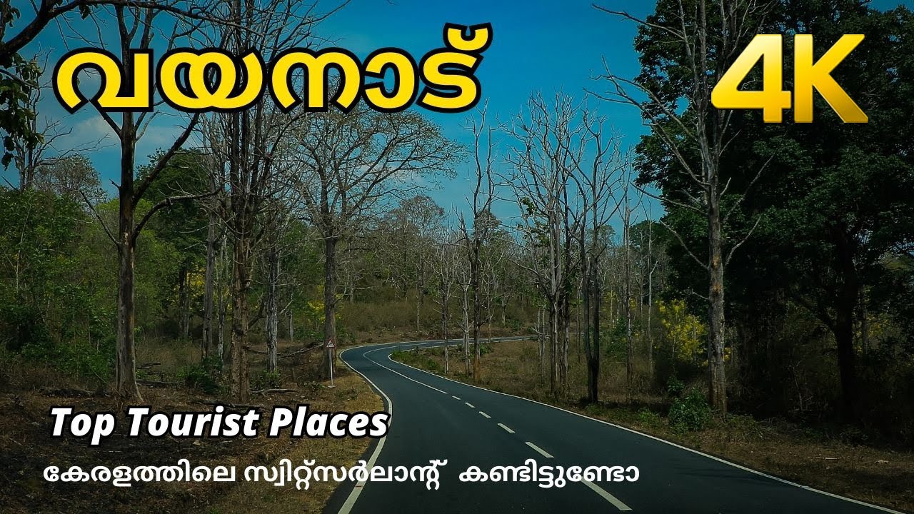 Wayanad !!! 4K
