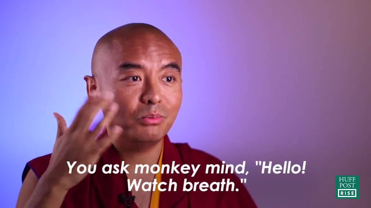 How to train your monkey mind.