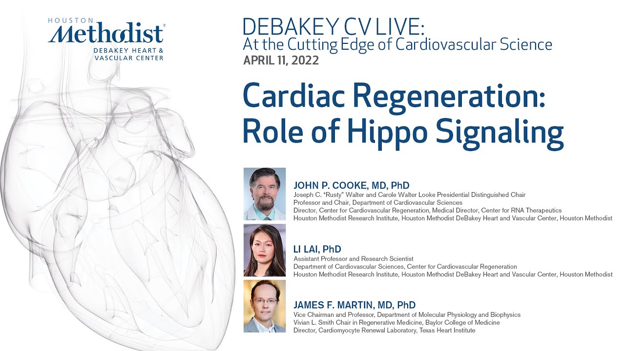 Cardiac Regeneration: Role of Hippo Signaling (John P. Cooke, MD and guests) April 11, 2022