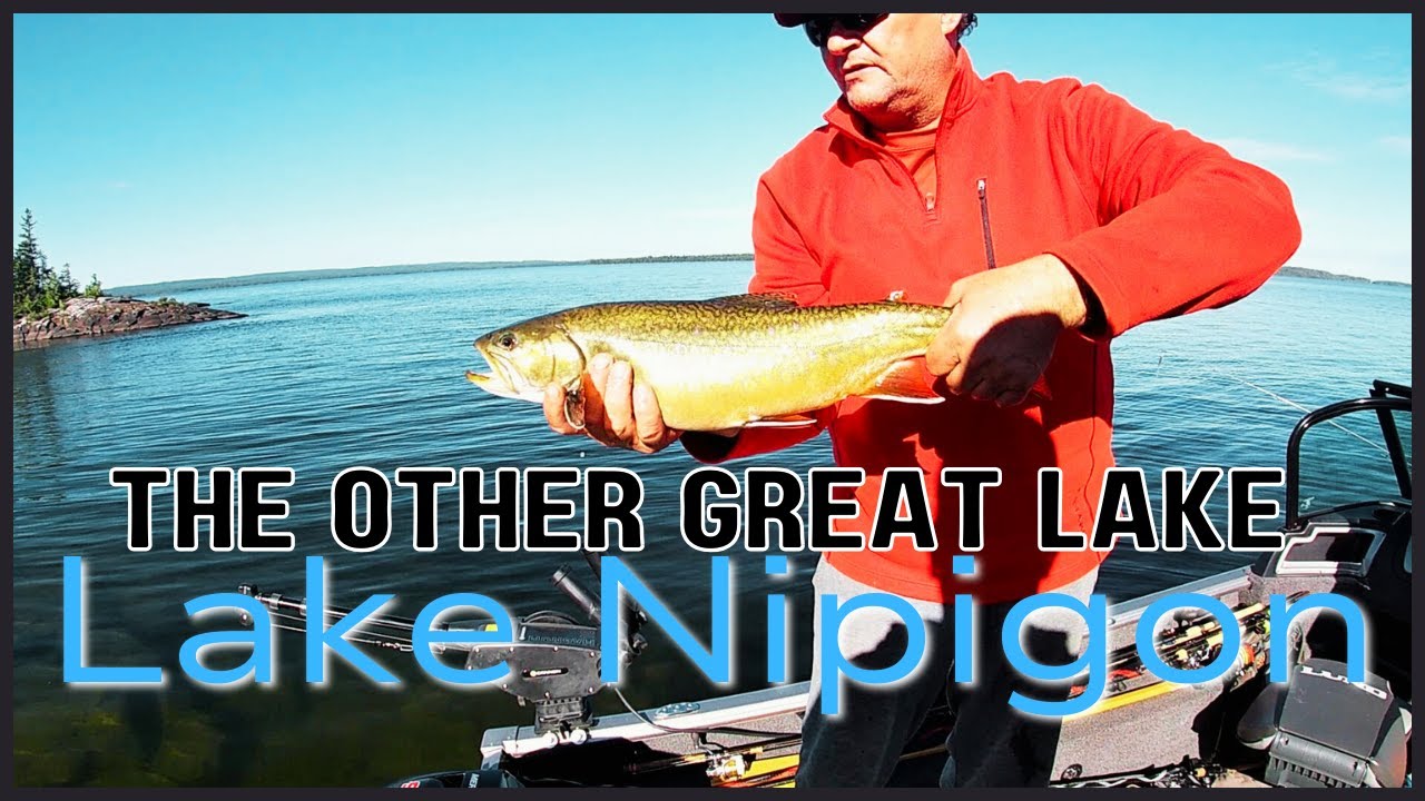 Lake Nipigon Brook Trout