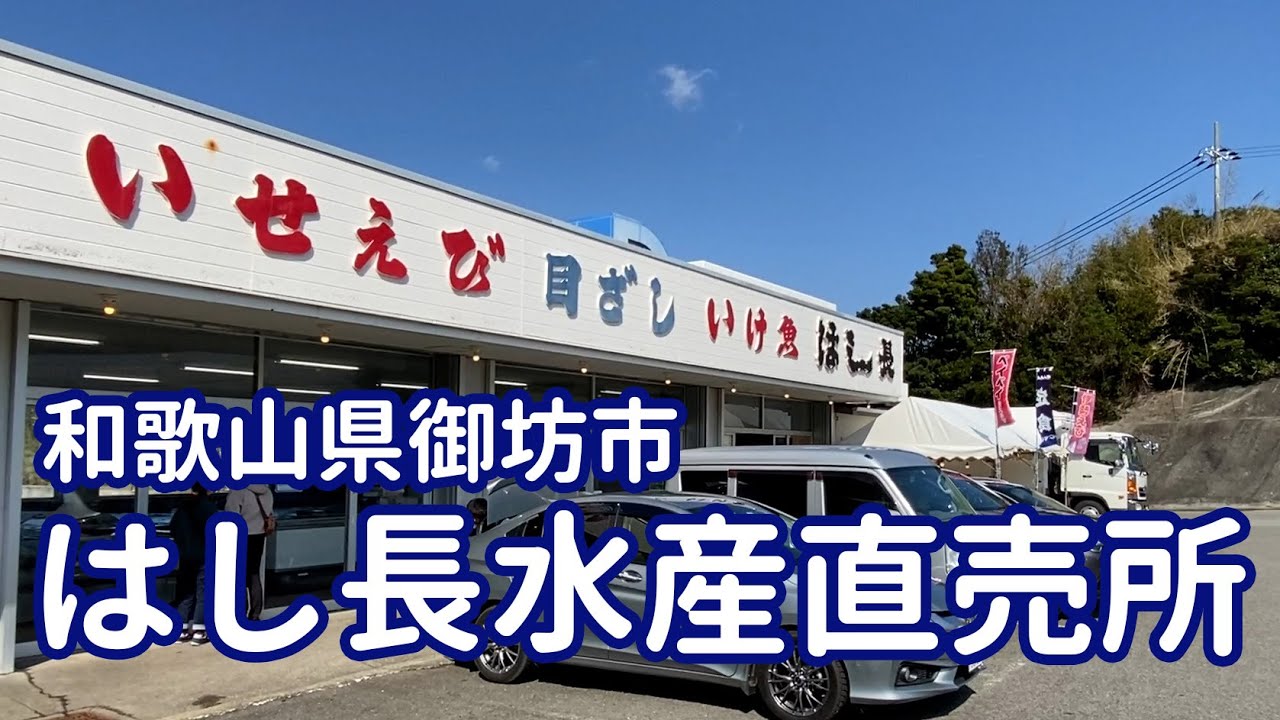 【和歌山グルメ】慶応元年(1865年)創業 鮮度抜群！海の見えるフィッシュテラス はし長【和歌山県/御坊市】