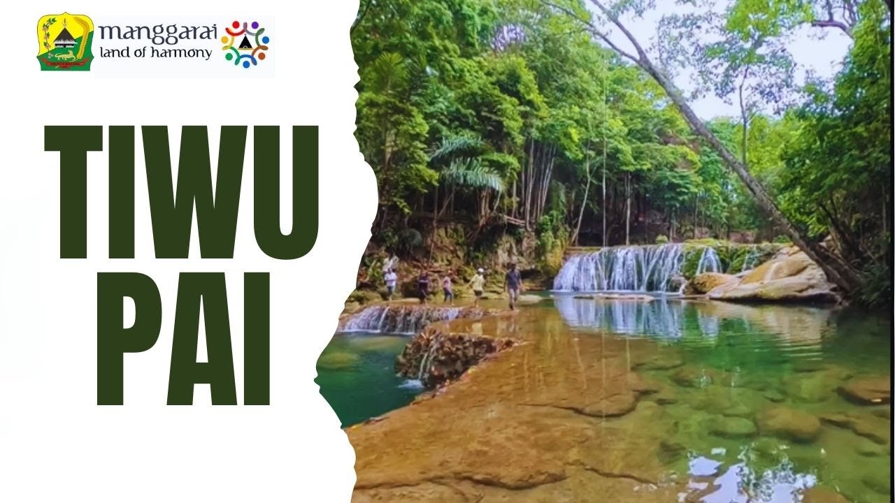 TIWU PAI