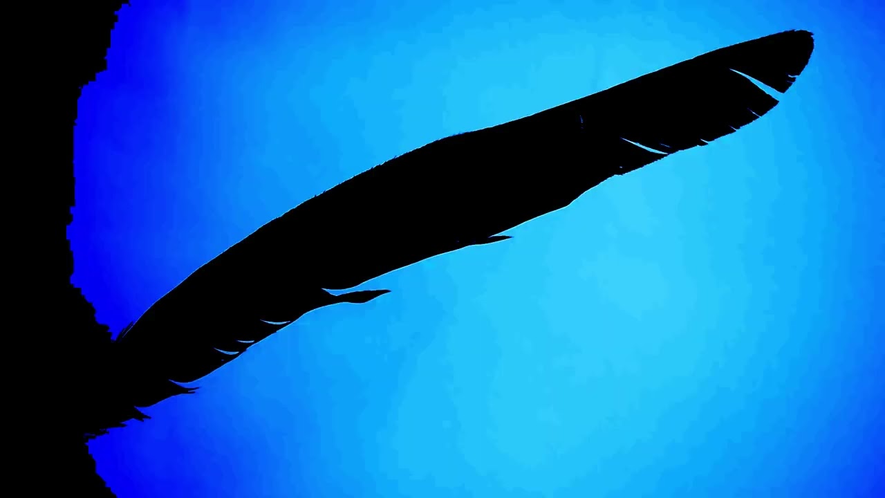 Bluecommand - Vol&aacute;til (Official Video) [Video by @Akoree]