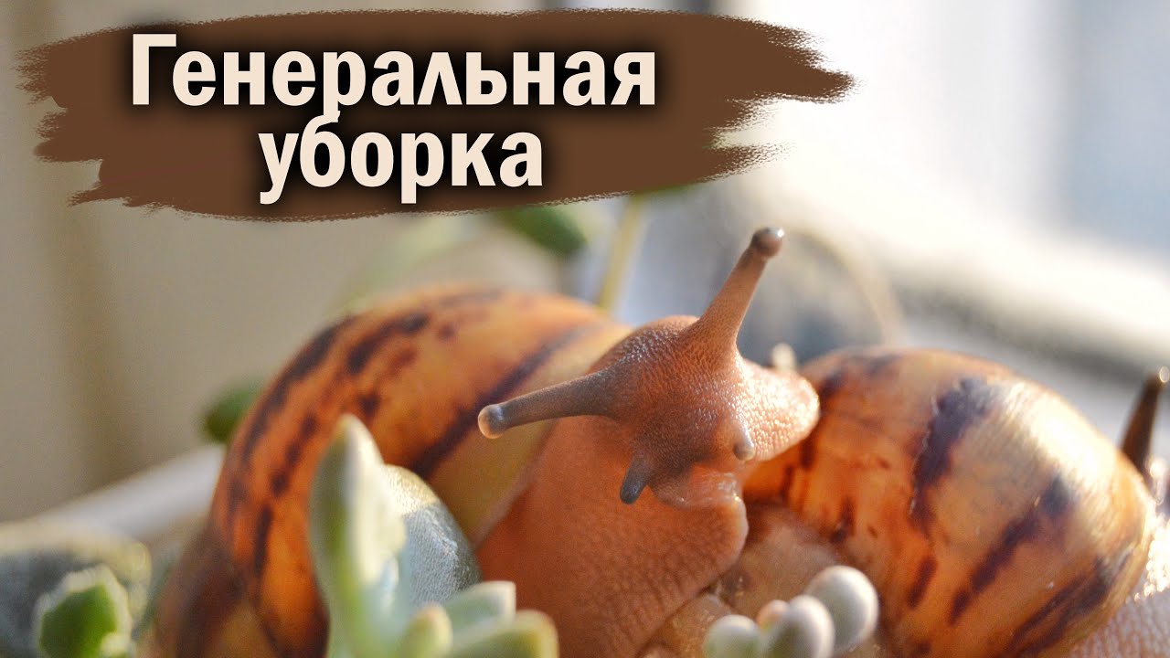 СОКРАЩЕНИЕ КОЛЛЕКЦИИ? | СНОВА ВЕРНУЛАСЬ К ТОРФУ?