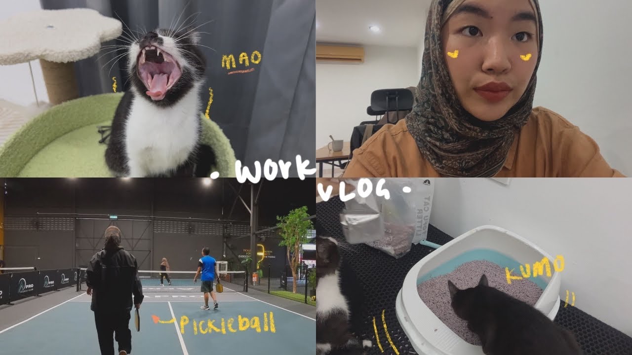 a *productive* work day in my life (content creating, pickleball, cat care) | malaysia vlog