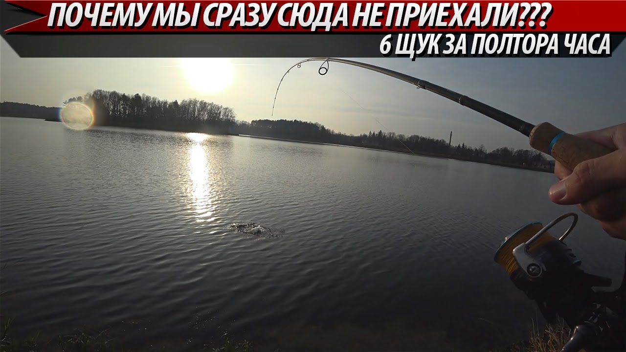 ВОТ ЭТО КЛЁВ!!! ПОЧЕМУ МЫ СРАЗУ СЮДА НЕ ПРИЕХАЛИ!!! 6 ЩУК ЗА 1,5 ЧАСА!!! Щука в ноябре на спиннинг