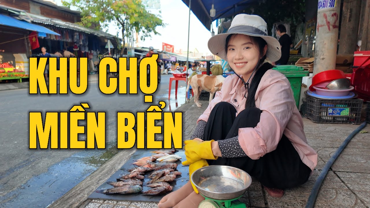 Khám Phá Cảng Cá Biển Bắc Đảo Phú Quốc, Hàng Tấn Cá Cập Bến Mỗi Ngày. Cuộc sống trên đảo Phú Quốc