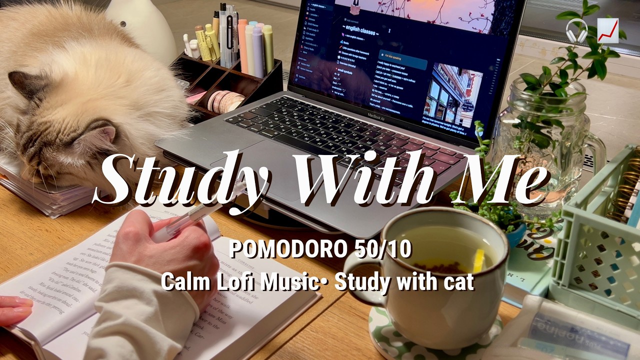 3-HR STUDY WITH ME | calm lofi bgm 🎧 pomodoro 50/10 music for study