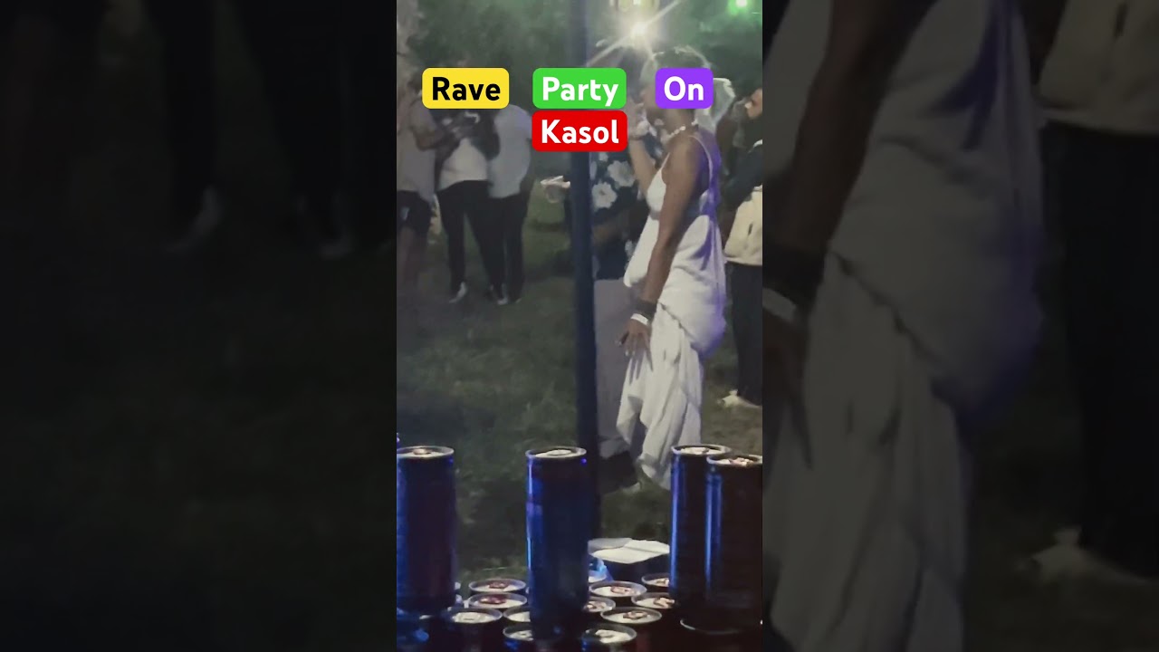 RAVE Party KASOL 🪅🎊 Mini ISRAEL #india #kasol #shorts