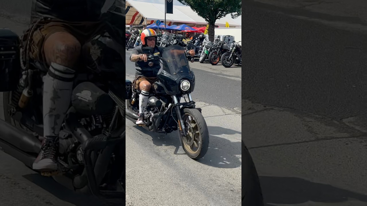 Harley Softail Slim, LowRider 