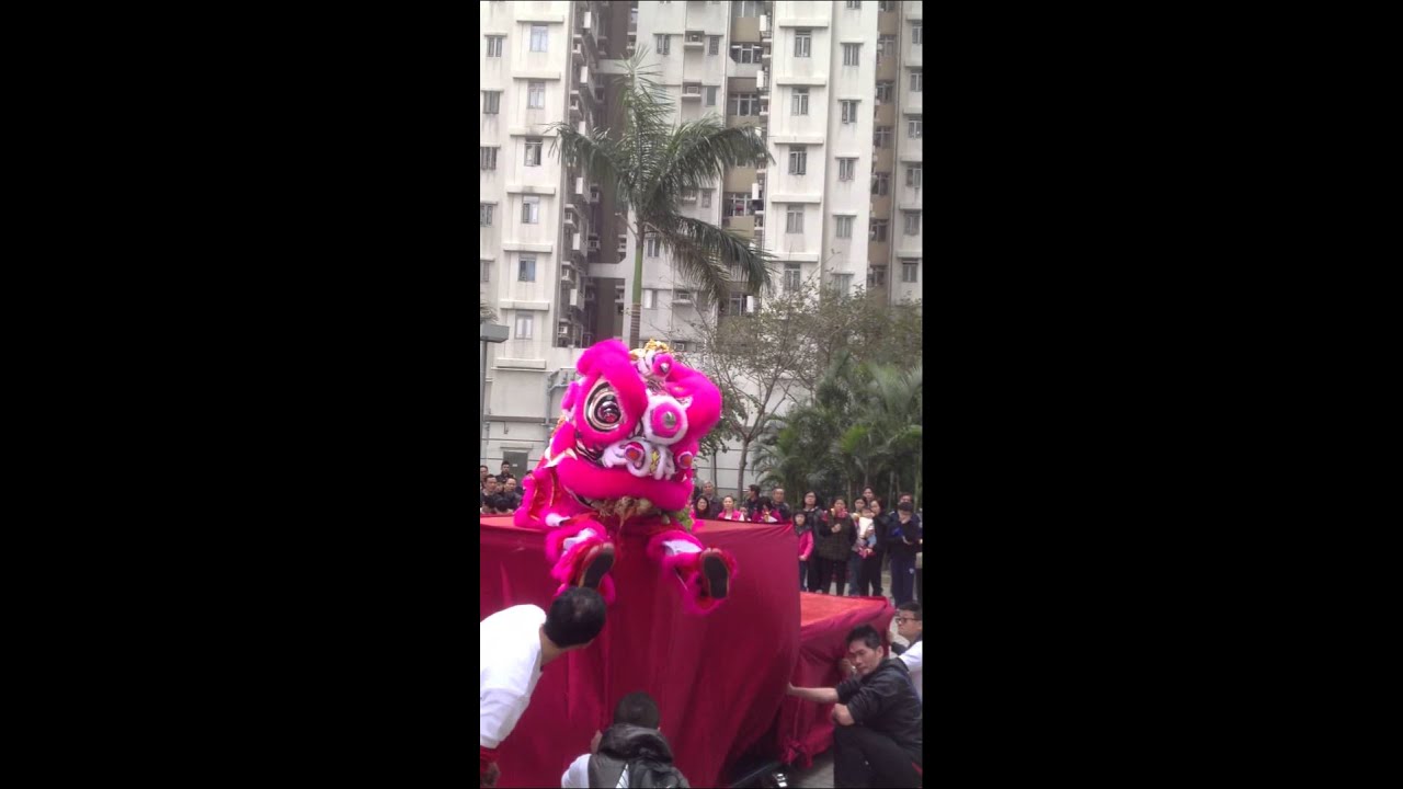 2013年初七天水圍俊宏軒新春賀歲