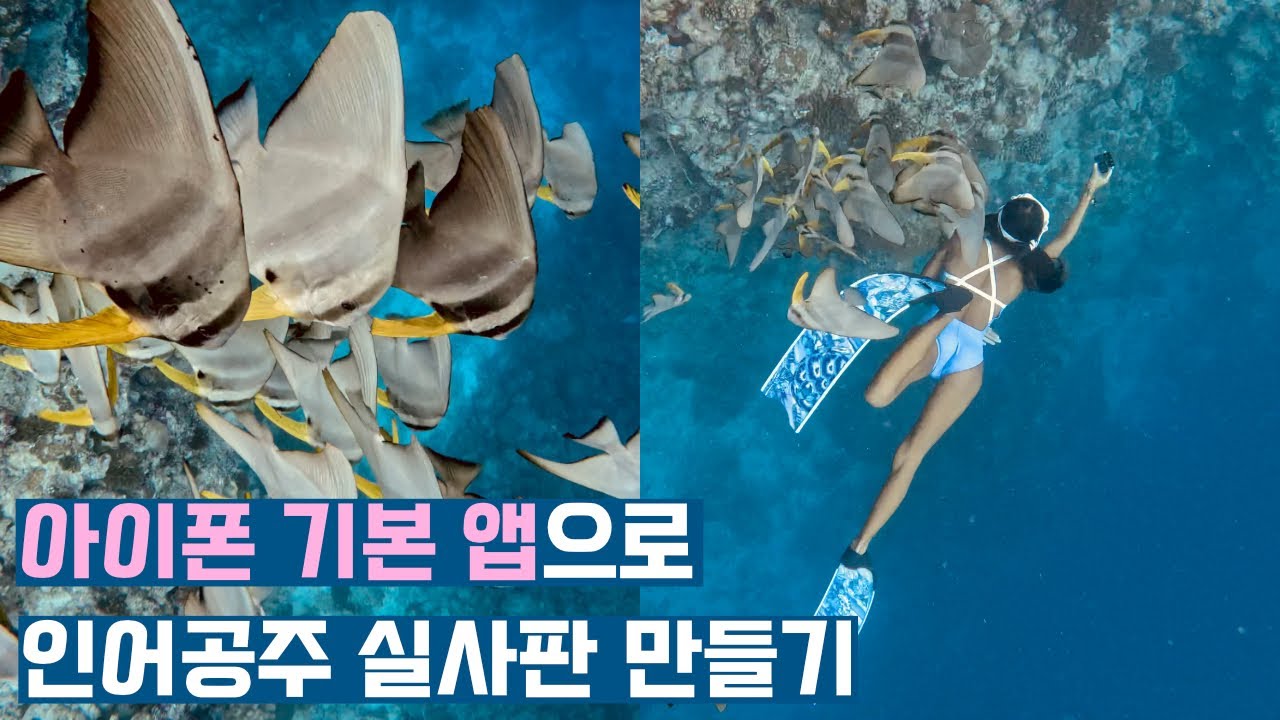 [초대박팁] 아이폰 '기본 기능'만으로 누구나 아바타 2같은 수중 릴스 제작 가능!