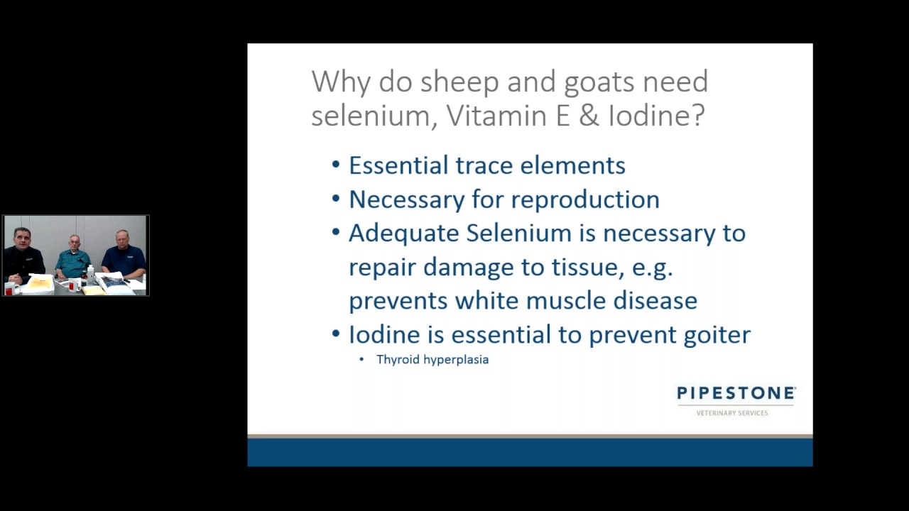 Vitamin E, Selenium, & Iodine Deficiency Webinar