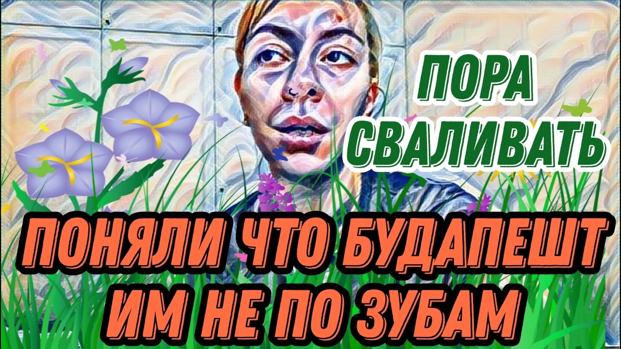 Диана ВонХ давит на жалость и клянчит деньги.Не хочет,но вынудили это сказать.Приготовила хрючево🤢