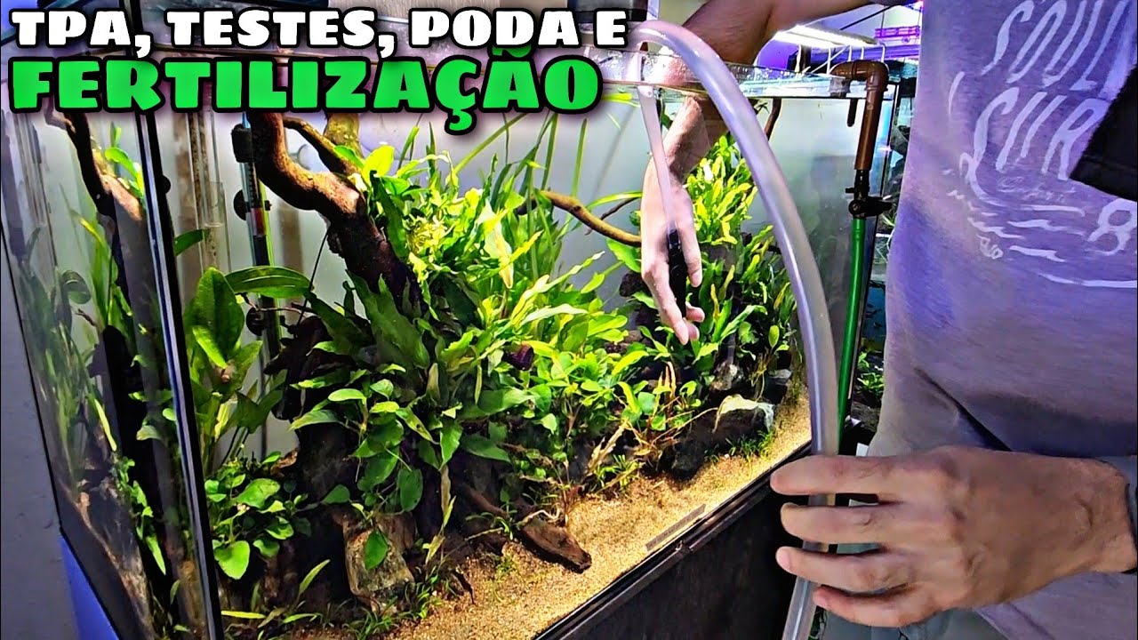 DIA DE TPA NO AQUÁRIO PLANTADO 