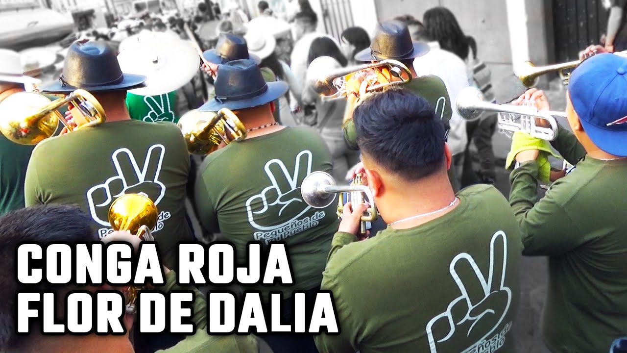 Conga Roja / Flor de Dalia - Banda Pequeños de mi Pueblo
