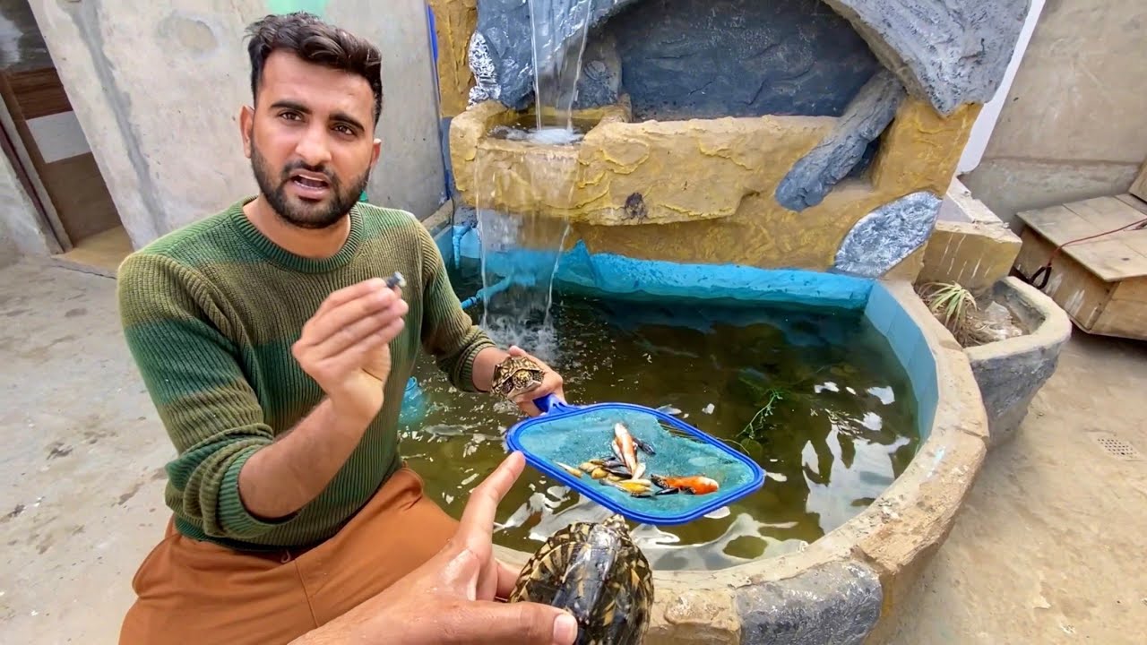Hmari Fishes ko Kachwo Ne Mar Dia😰