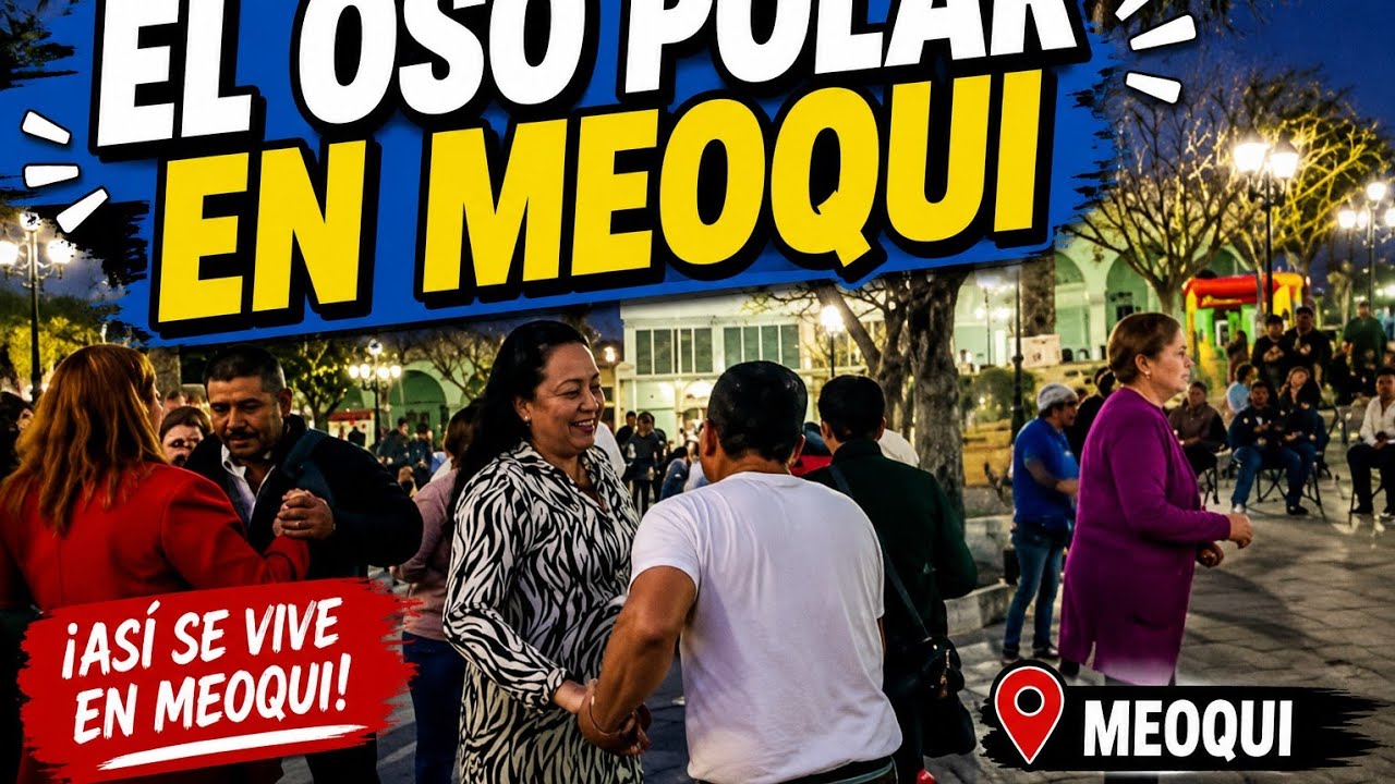 EL OSO POLAR EN MEOQUI