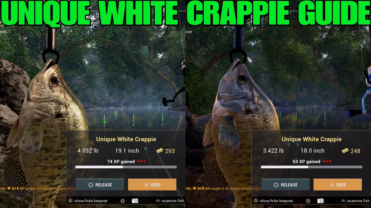 Unique White Crappie Guide - At Neherrin River - Fishing Planet