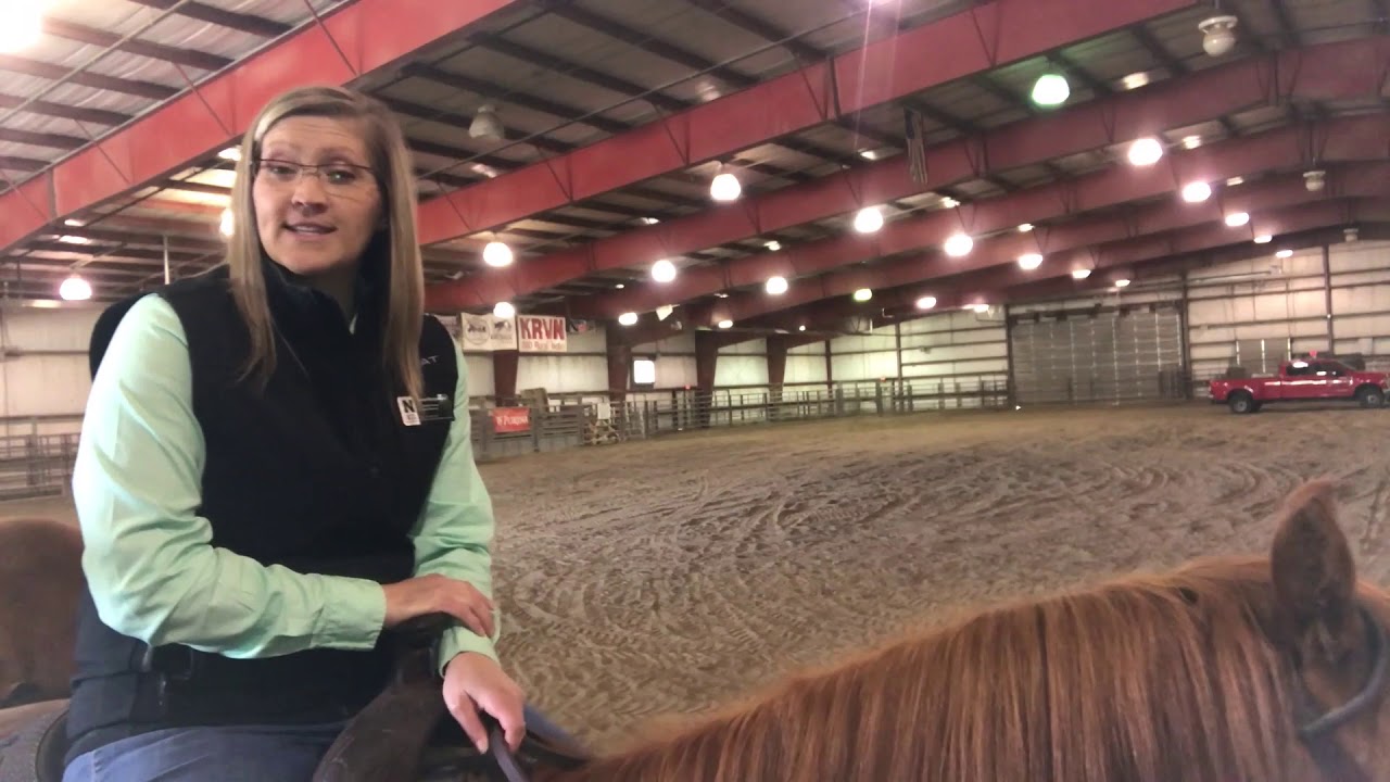 Equine Industry Management