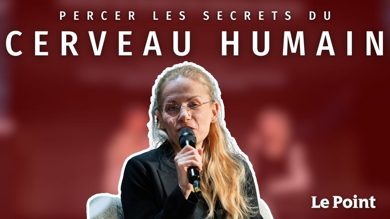 Percer les secrets du cerveau humain