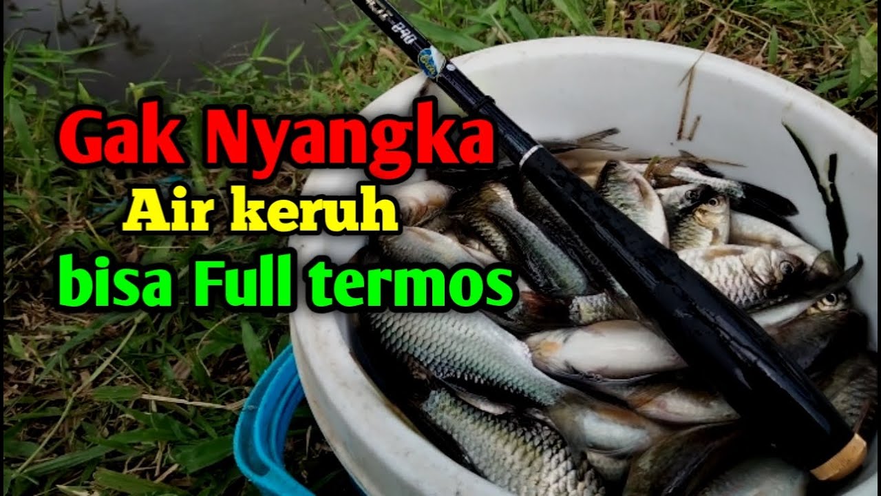 Tidak di sangka Sangka hasilnya bisa se full termos ini 
