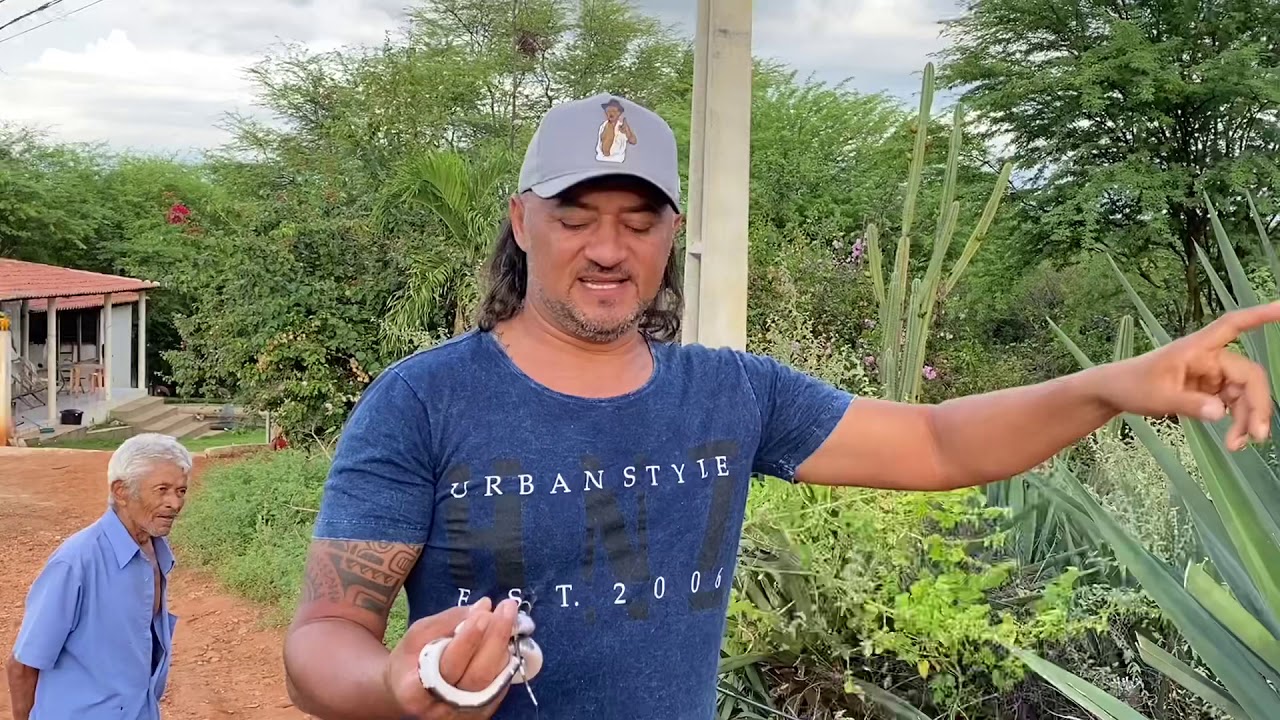 FILHO DE TIRINGA ENCONTRA UMA COBRA MUTANTE | COMÉDIA SELVAGEM ®