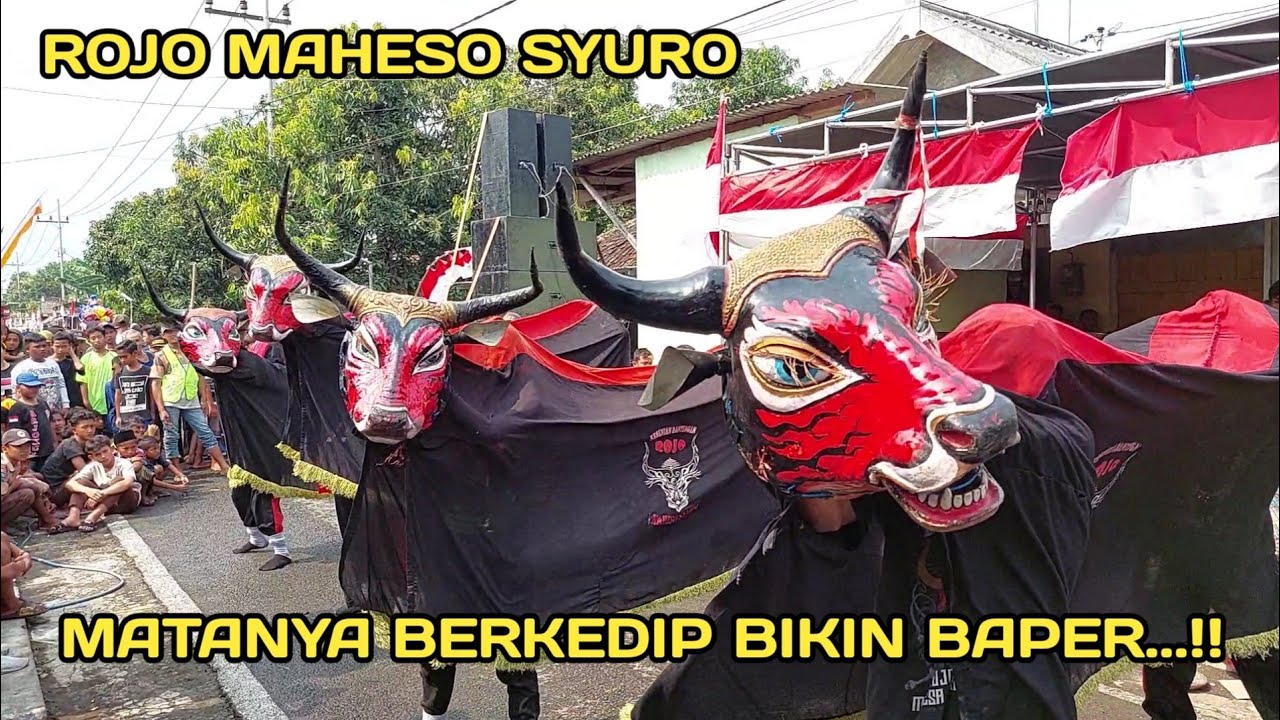 Bantengan ngamuk matanya berkedip Rojo Maheso Syuro